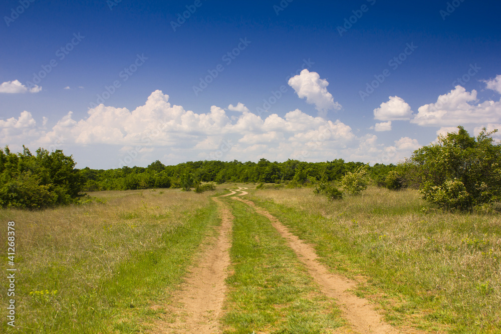 Naklejka premium Provadia_Landscape 1