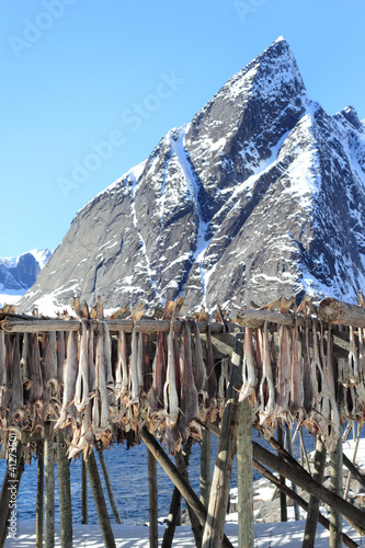 Hamnøy's mounts and stockfish