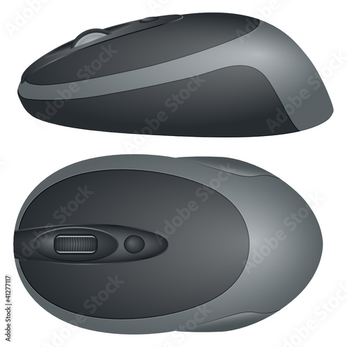 computer mouse