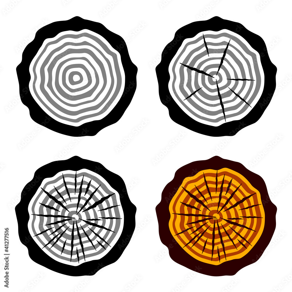 vector growth rings tree trunk symbols vector growth rings tree trunk symbols