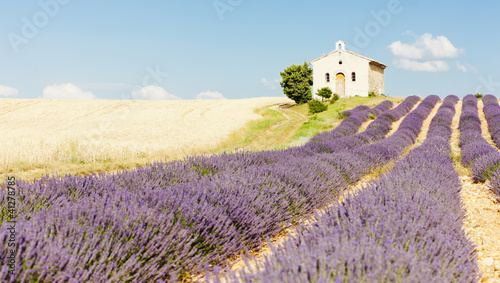 chapel with lavender and grain fields,Valensole,Provence