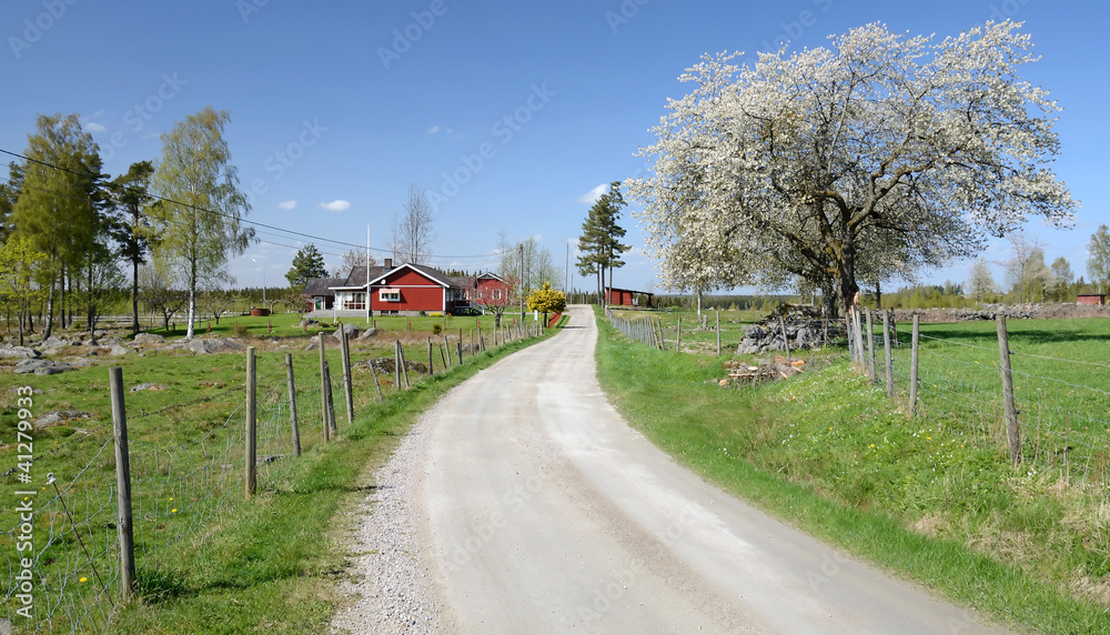 Country road to the Swedish village