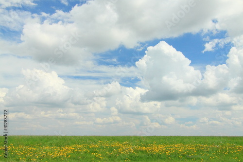 White Clouds over a Meadow