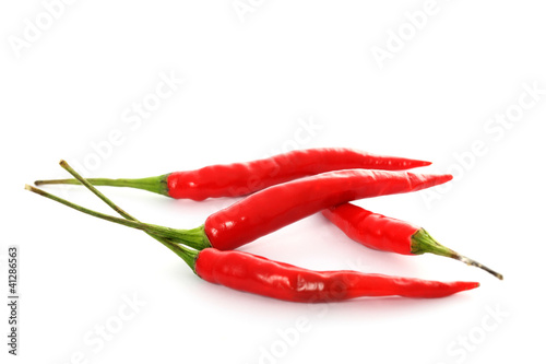 Red hot chili pepper isolated on a white background