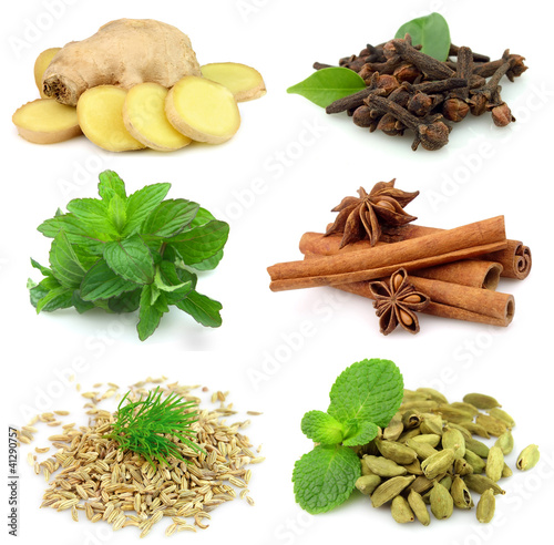 Fototapeta Naklejka Na Ścianę i Meble -  Collecton of fragrant spices