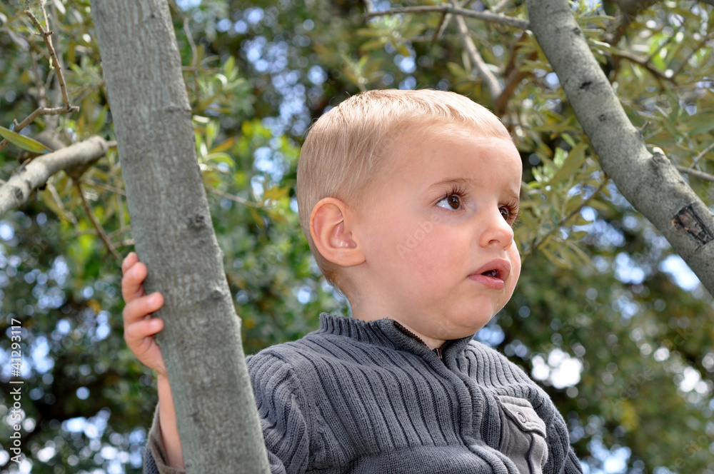 petit enfant blond dans la foret petit enfant blond dans la foret