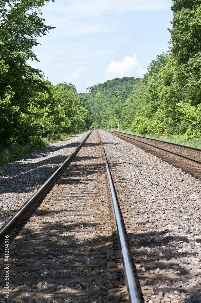 Train tracks through the woods Train tracks through the woods