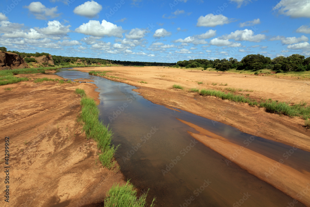 Fototapeta premium Krüger Nationalpark