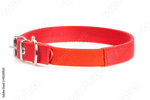 Billede på lærred red collar isolated over white background