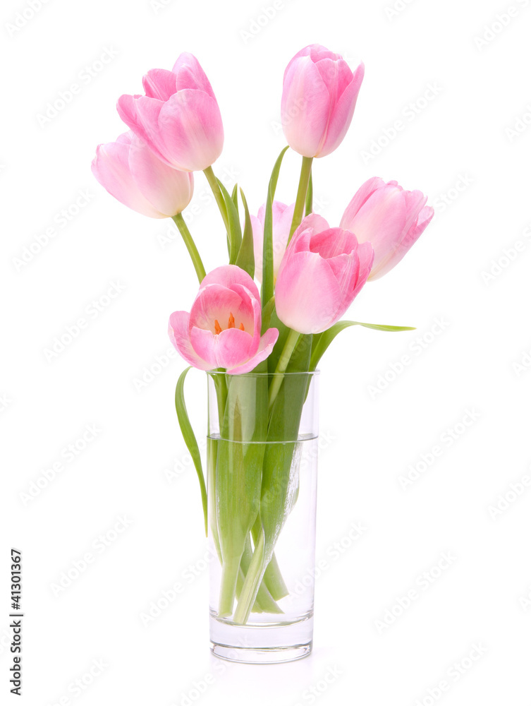 Pink tulips bouquet in vase isolated on white background