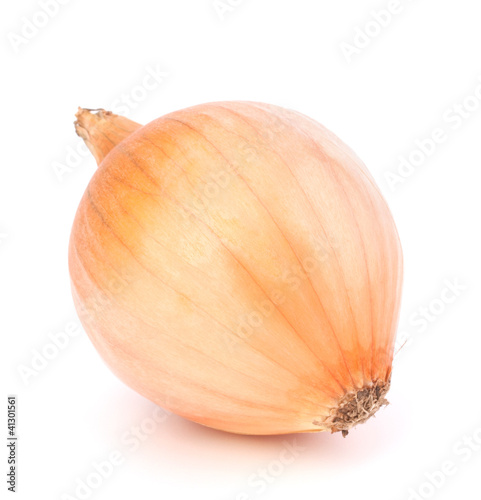 Wallpaper Mural Onion Torontodigital.ca