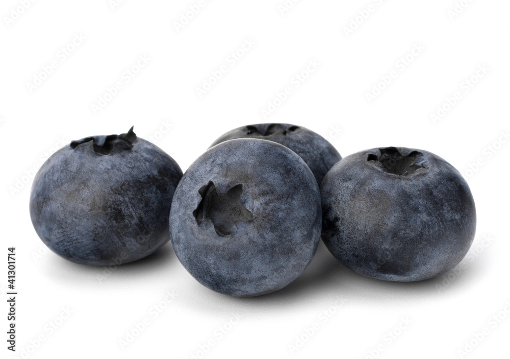 Fototapeta premium Bilberries or whortleberries cutout