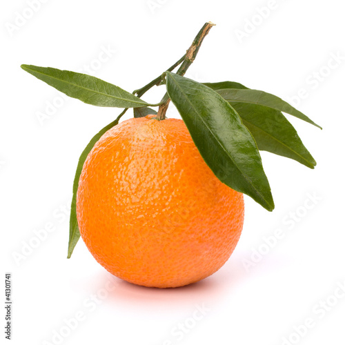 tangerine i