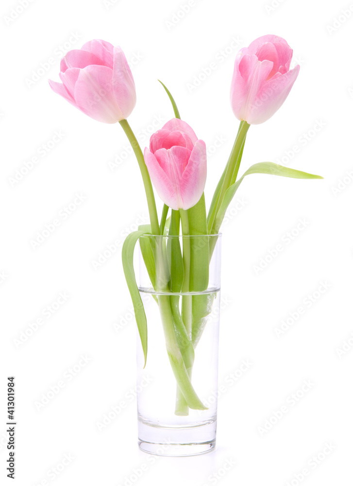 Pink tulips bouquet in vase isolated on white background Pink tulips bouquet in vase isolated on white background