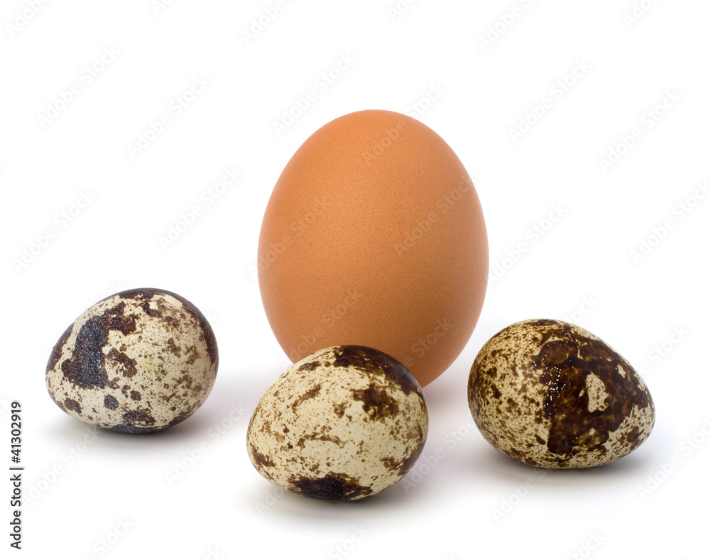 quail and hen's eggs quail and hen's eggs