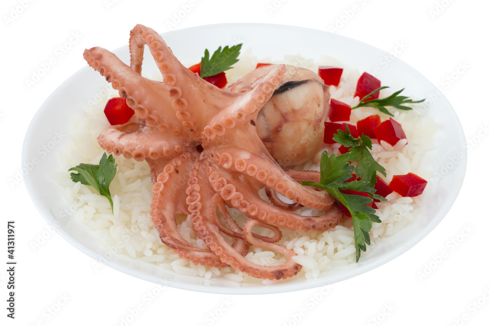 boiled octopus with rice on the plate boiled octopus with rice on the plate