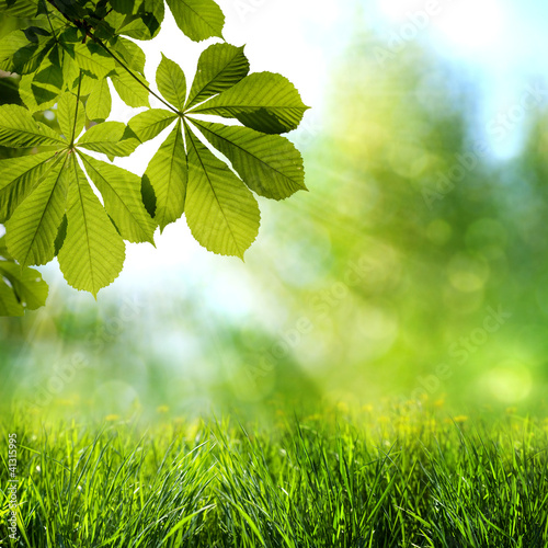 Abstract spring and summer backgrounds