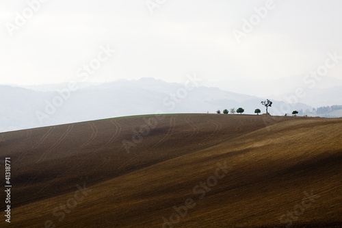 Romagna Hills  in Italy  with foggy background and trees in siholuette.