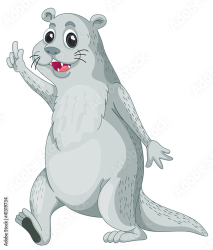mr otter