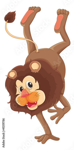 Mr lion