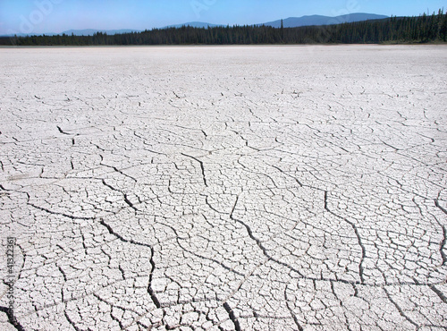 Cracked ground due to drought in British Columbia, Canada