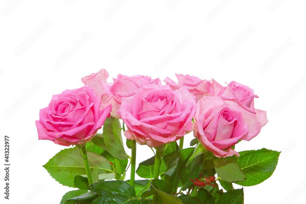 Fototapeta premium Blumenstrauss