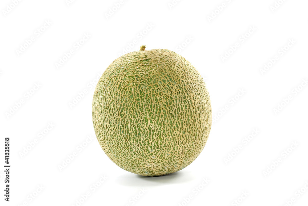 cantaloupe melon isolated on white background cantaloupe melon isolated on white background
