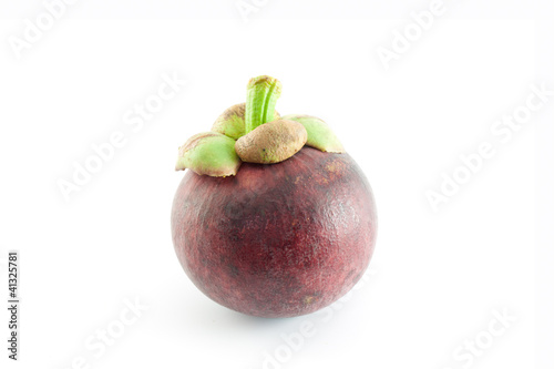 single mangosteen photo