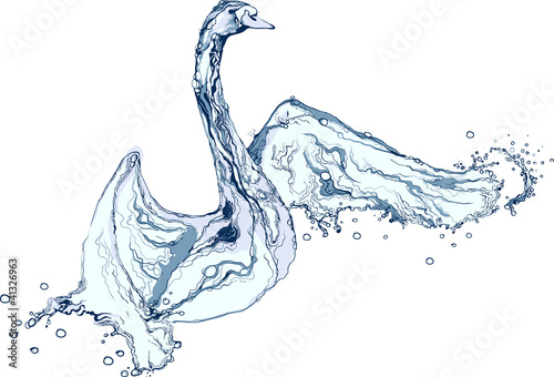 Water splash swan