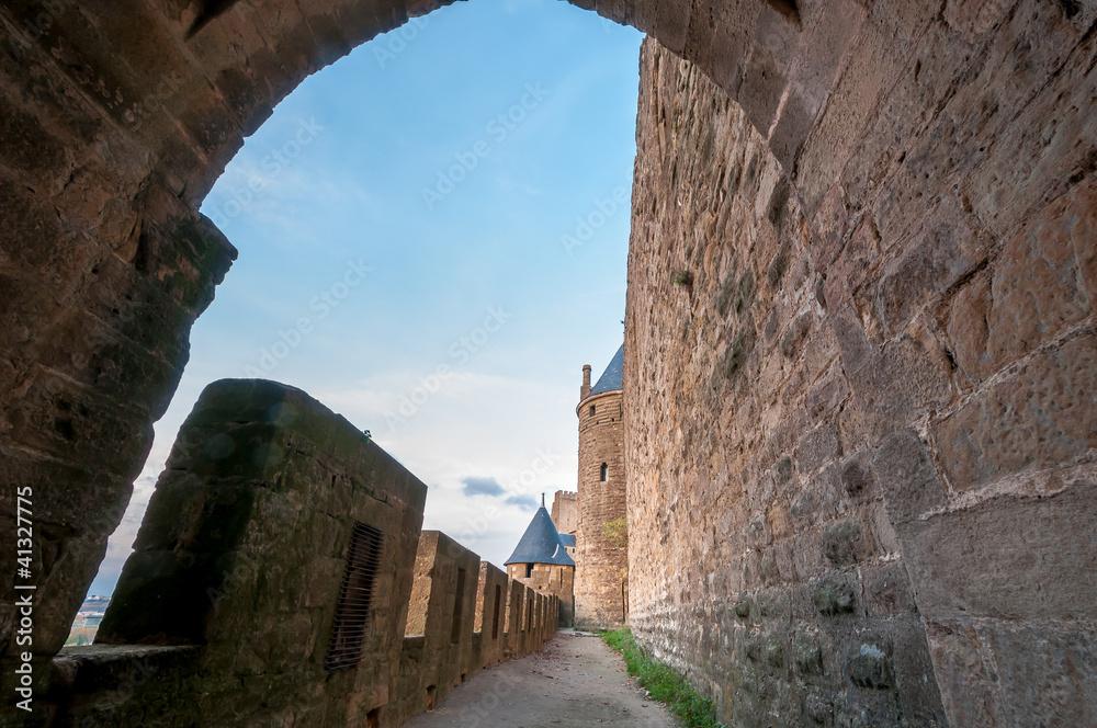 Fototapeta premium Remparts de Carcassonne