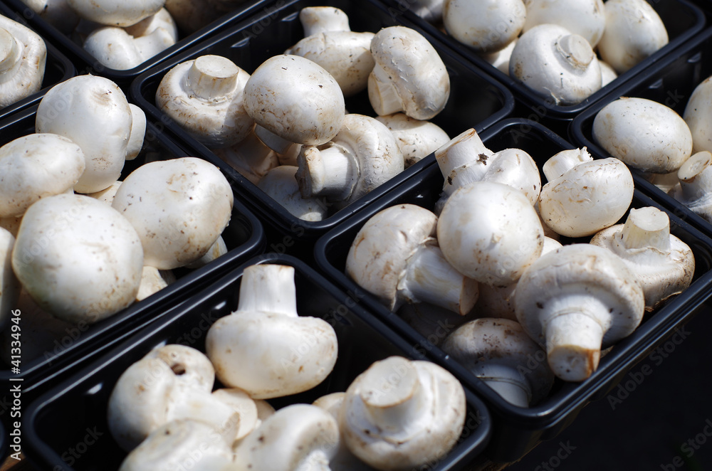 Baskets of White Mushrooms at a Market Baskets of White Mushrooms at a Market