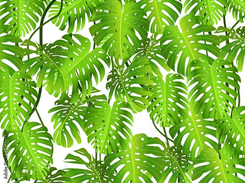 Tropical leaf background