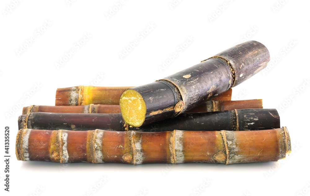 Sugar cane over white background