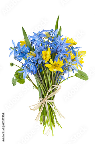 Bouquet of fresh spring flowers