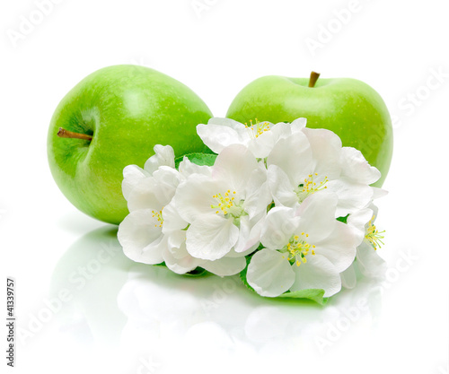 green apples and apple flowers on a white background photo