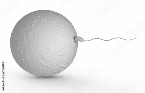 human sperm 3d render