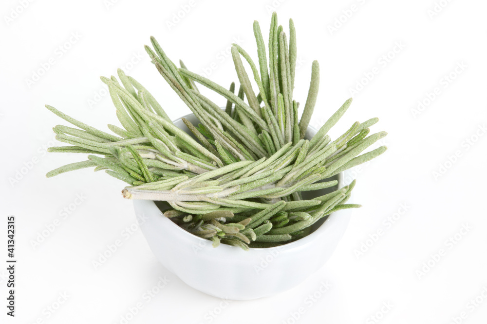 Fototapeta premium Rosemary (Rosmarinus officinalis) in a white bowl on white backg