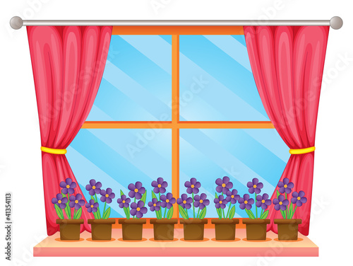 Window