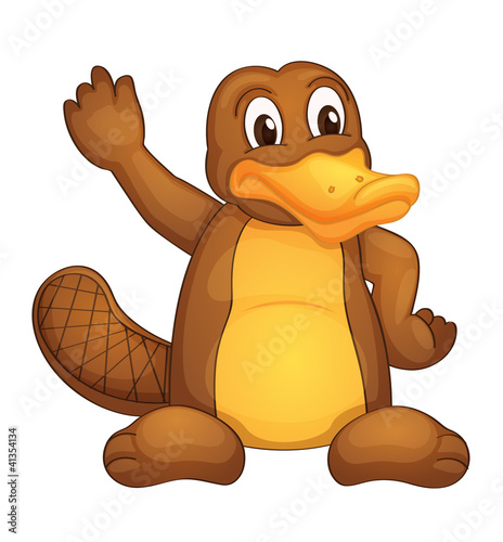 platypus