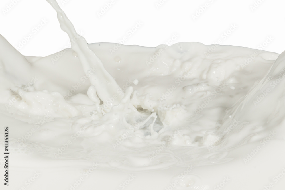 milk splash milk splash
