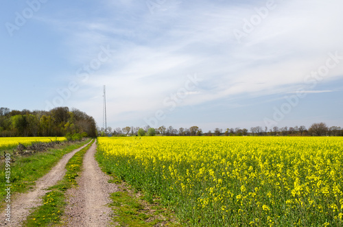 Road to mast photo