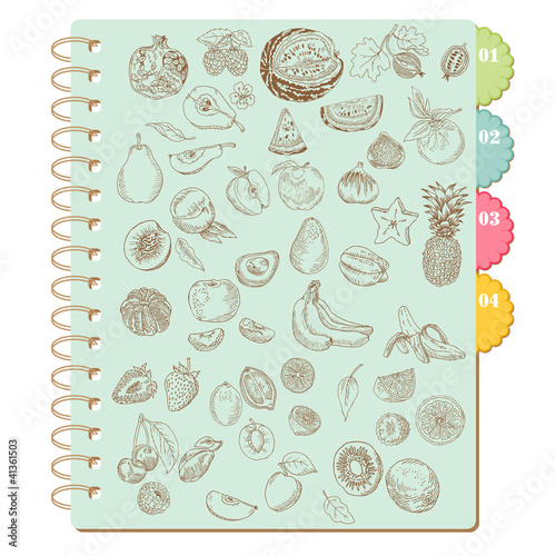 Scrapbook Design Elements -Set of Various Fruits - in vector