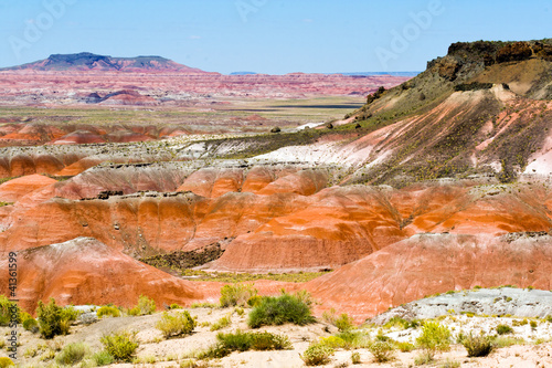 Painted Desert Landscape