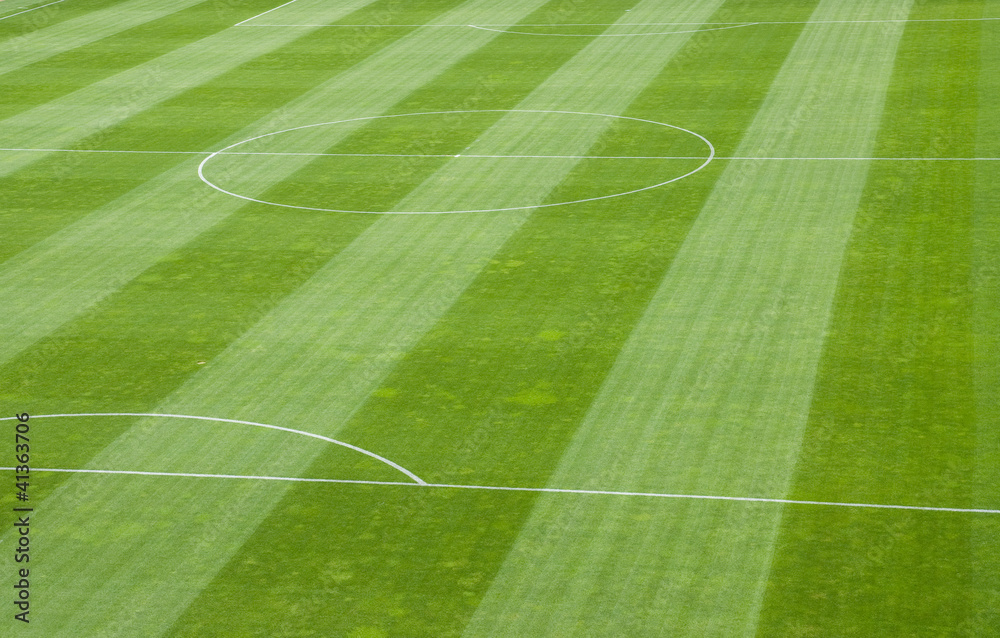 Soccer Field Grass