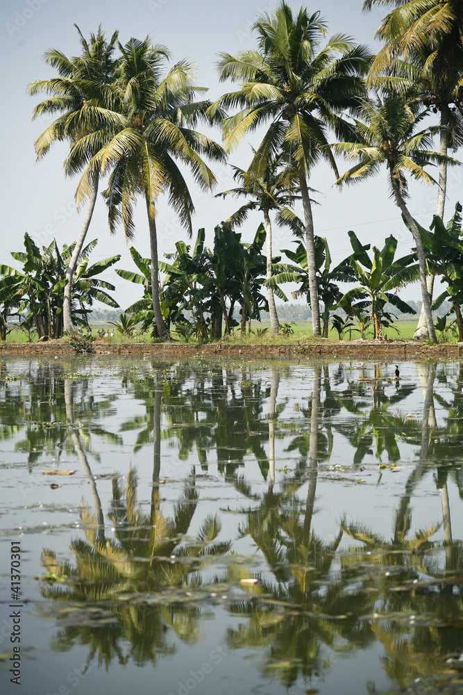 Obraz premium backwaters in alleppey, kerala
