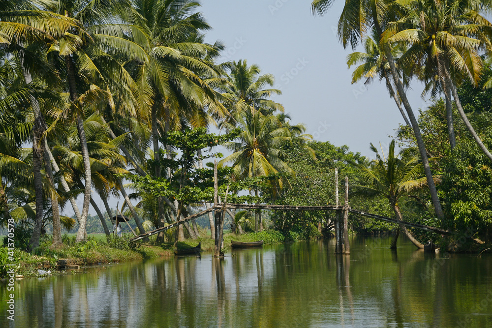 backwaters in alleppey, kerala