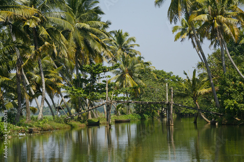 backwaters in alleppey  kerala