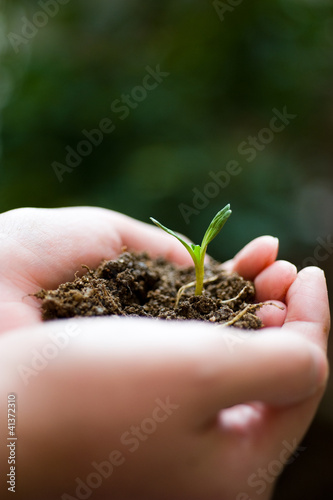 plant in the hand