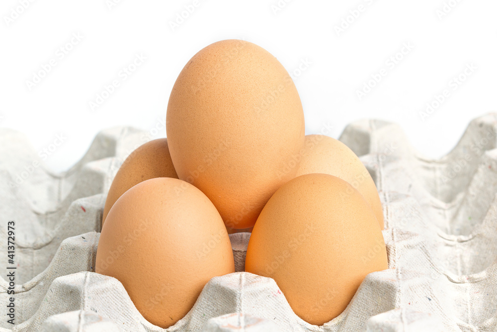 Chicken brown egg closeup view background Chicken brown egg closeup view background