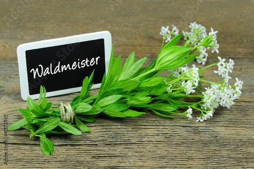 Waldmeister photo